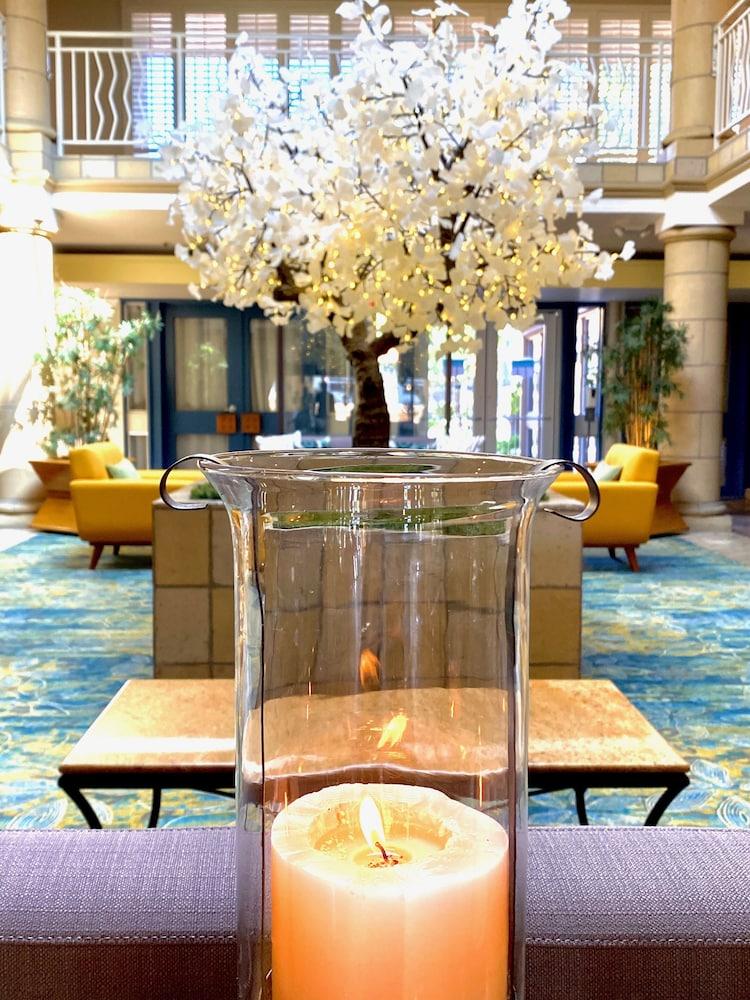 Atrium Hotel Orange County Irvine Zewnętrze zdjęcie